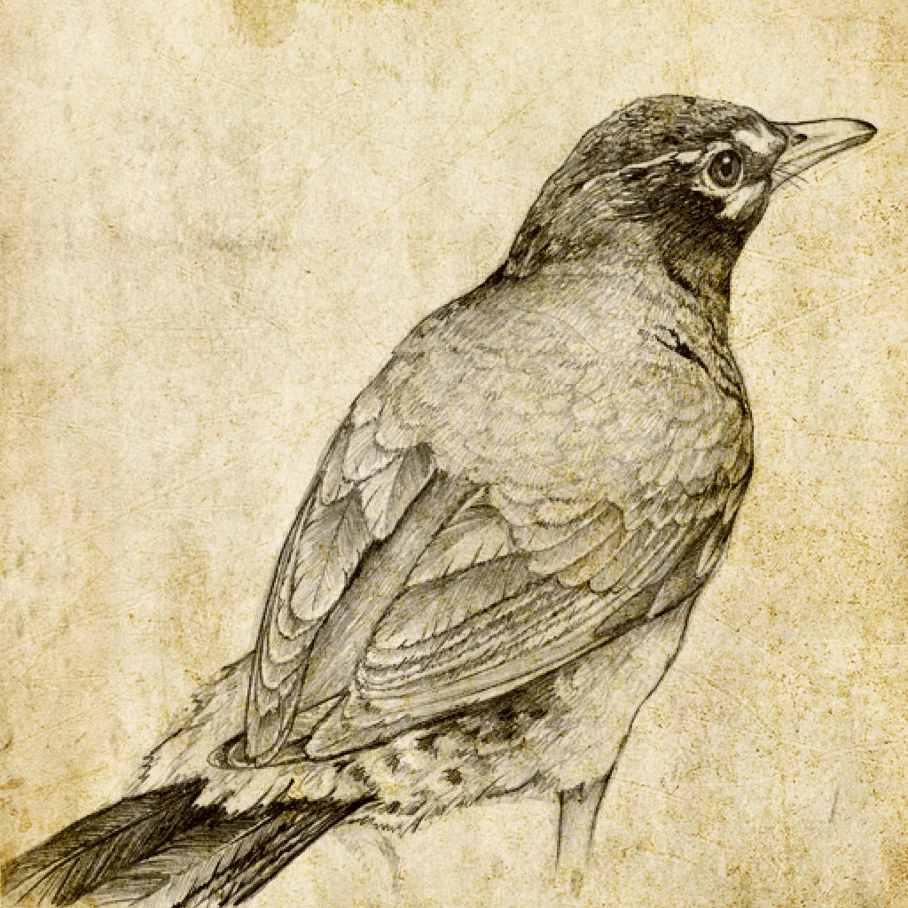 Sketch Master - Cartoon Filter app icon captured 2026-08-14