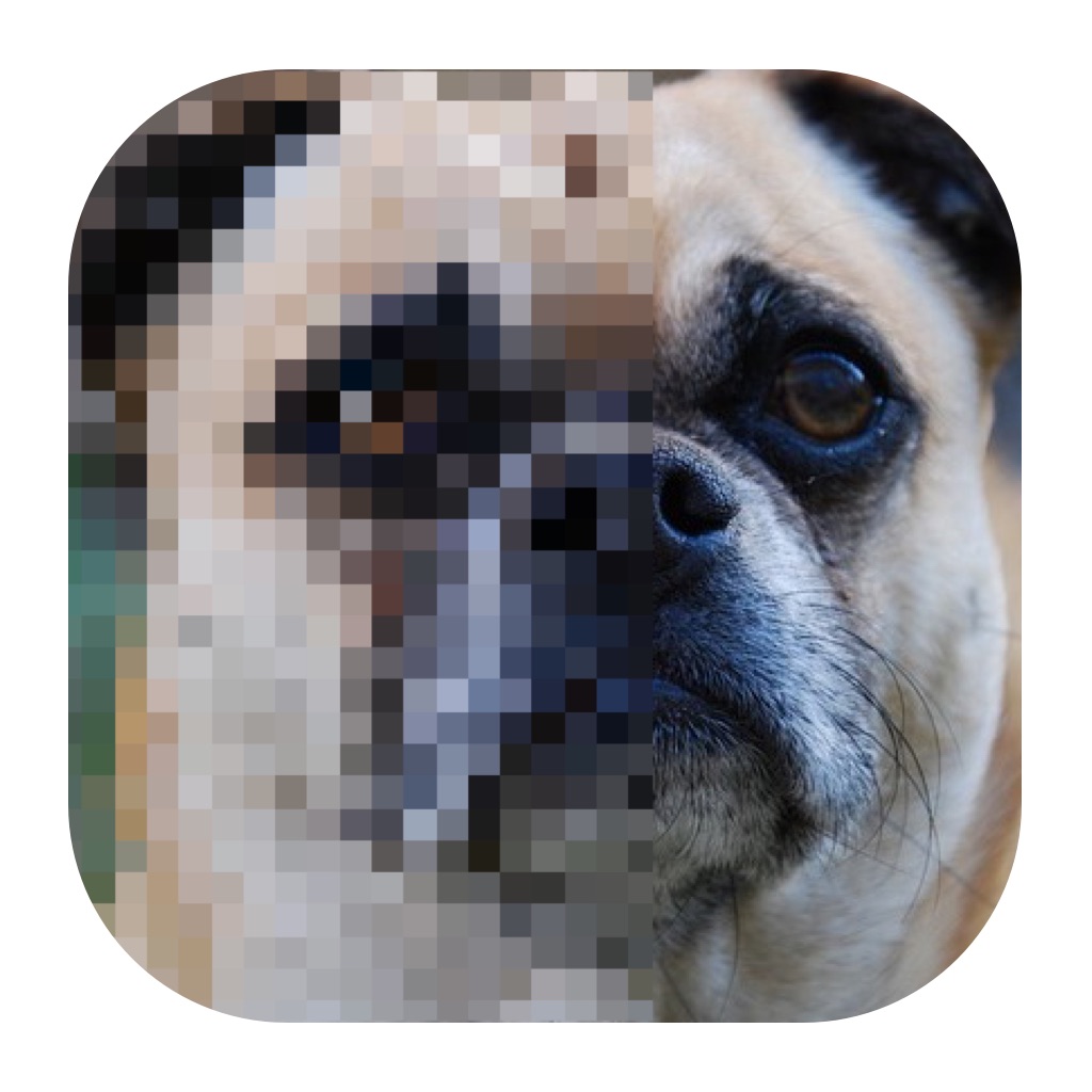 Image to Pixel Art app icon