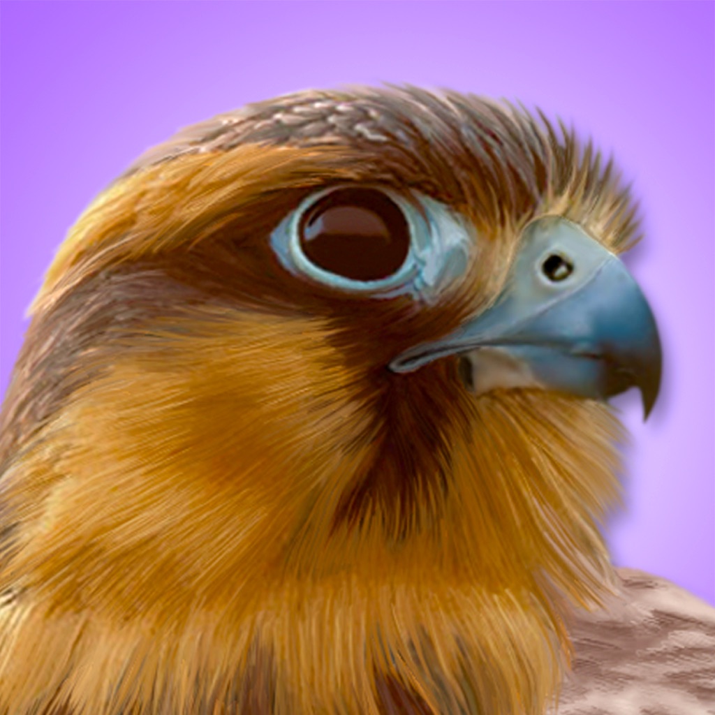 iBird Pro Guide to Birds app icon captured 2026-08-12