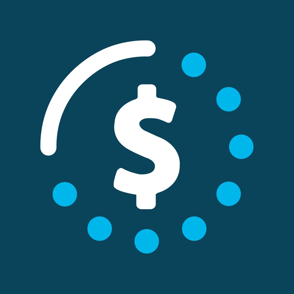 Best Budget Pro for iPad app icon