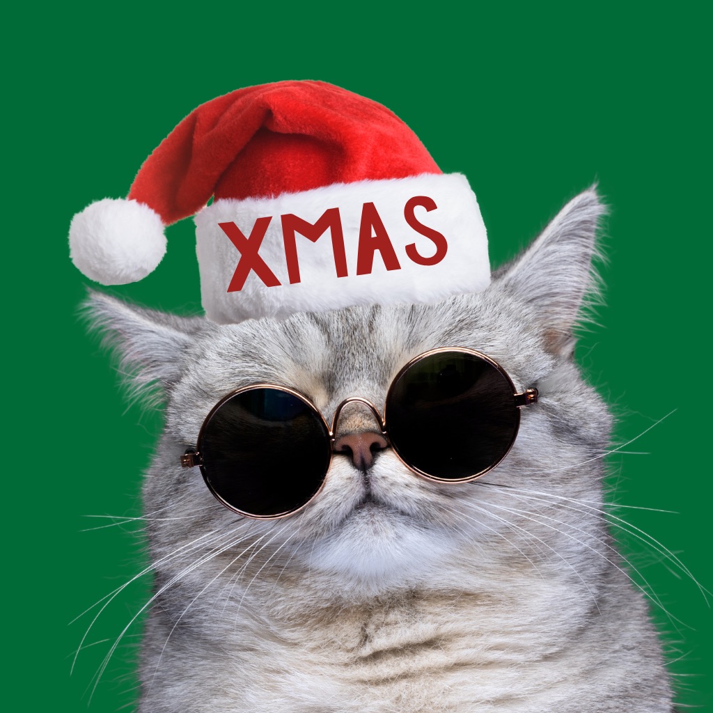 Trendy Stickers for Christmas app icon