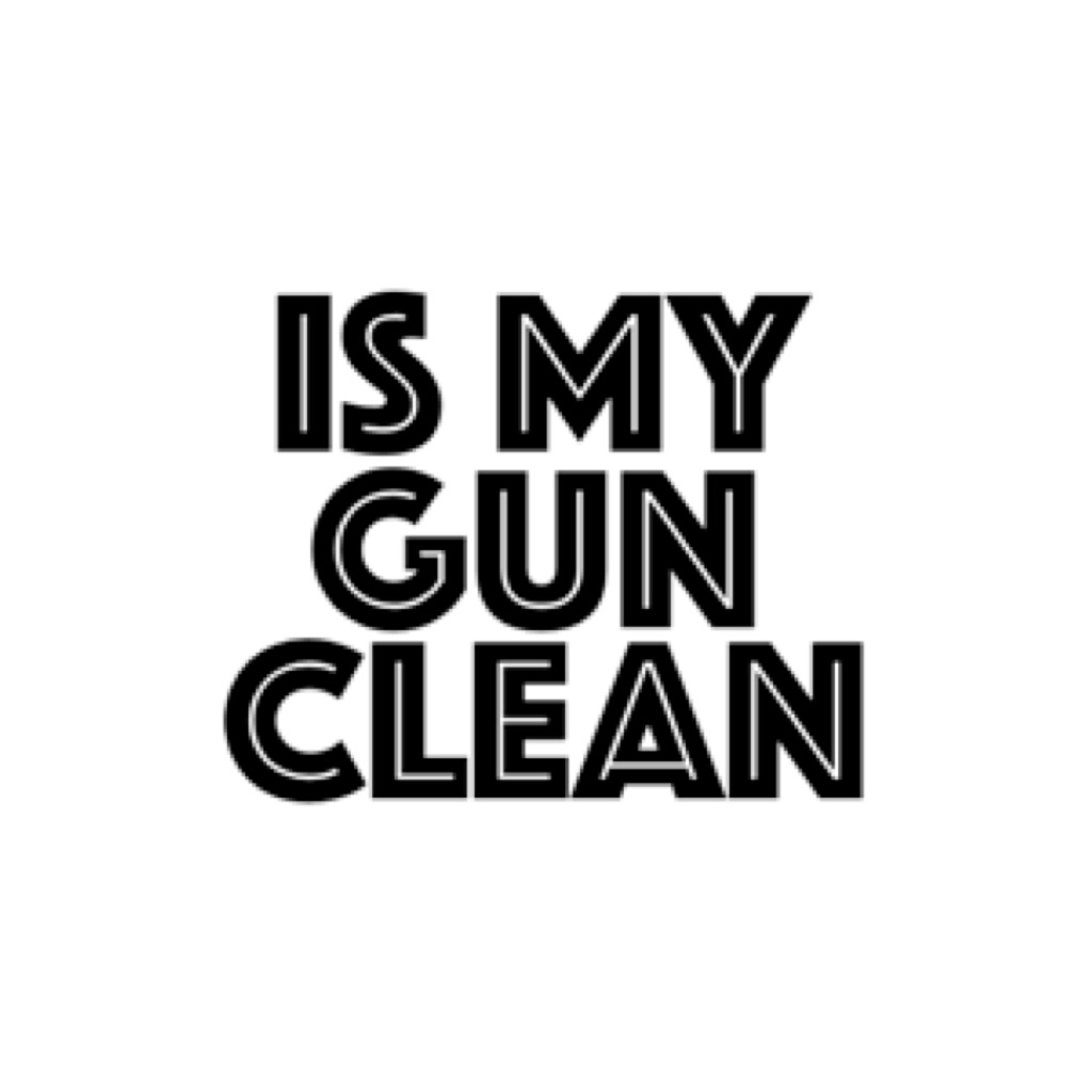 IS MY GUN CLEAN app icon