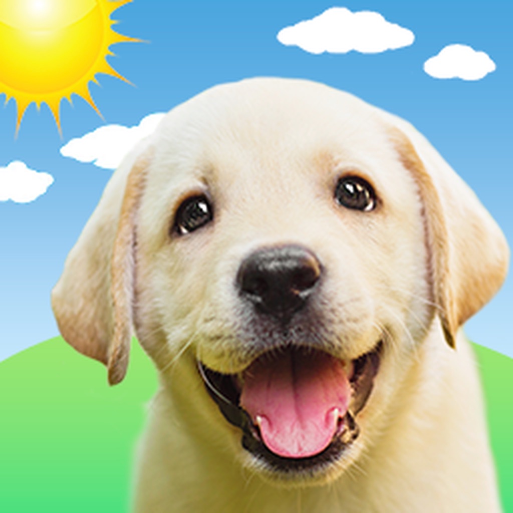 Weather Puppy Forecast + Radar app icon