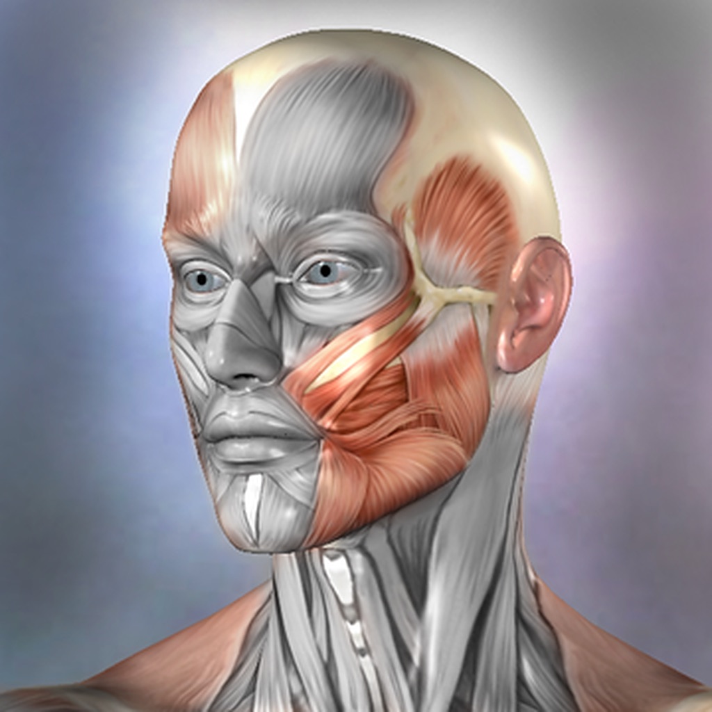 Muscle & Bone Anatomy 3D app icon