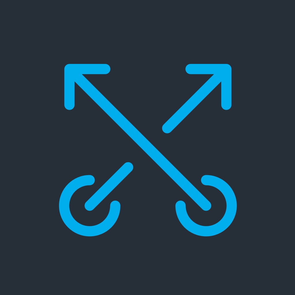 Flag Football Playmaker X app icon