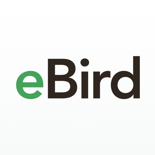 eBird by Cornell Lab Google Play icon captured 2026-08-12