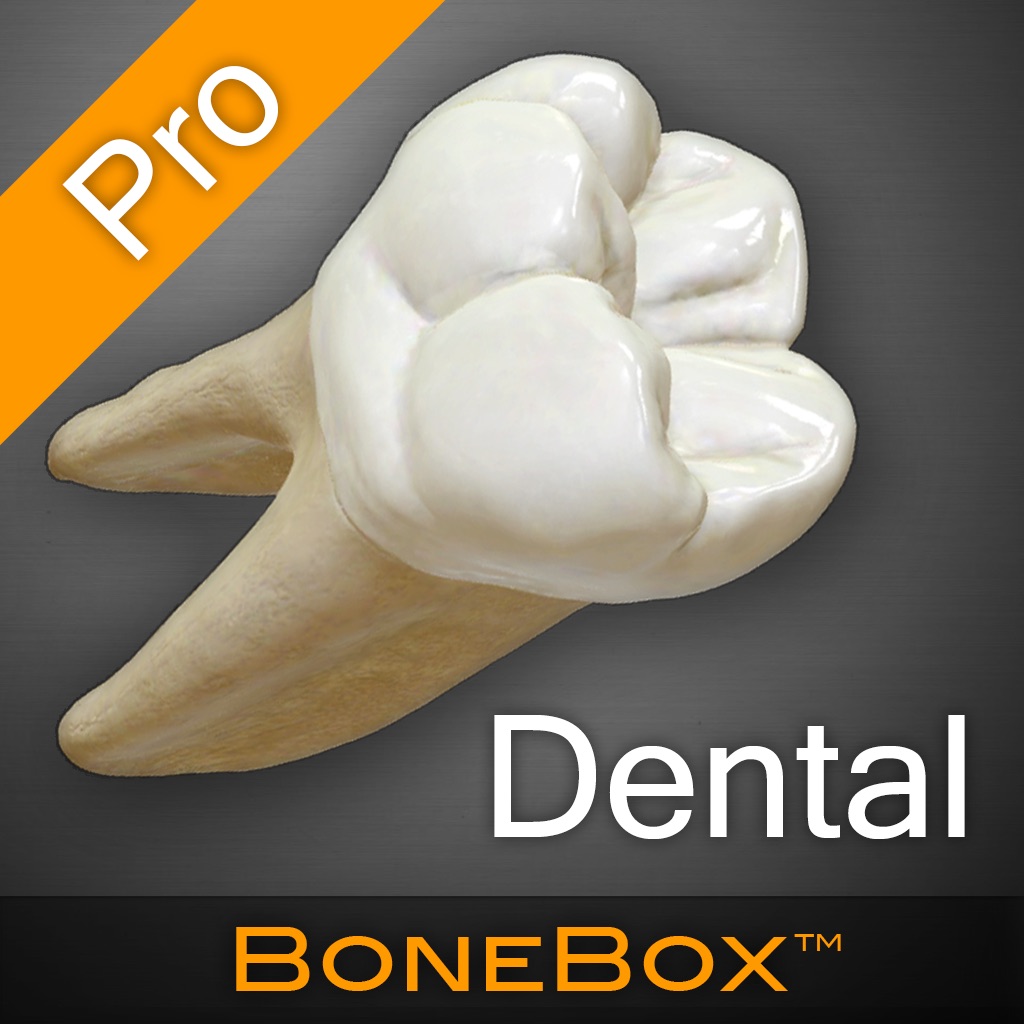 BoneBox™ - Dental Pro app icon