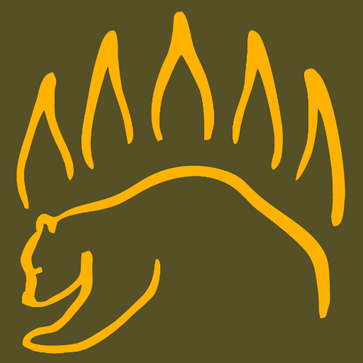 Knot IQ - The Bear Essentials Google Play icon