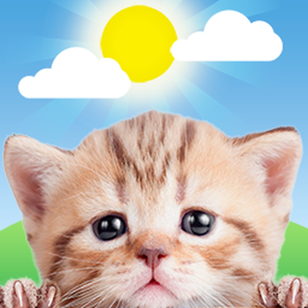 Weather Kitty: Weather + Radar app icon