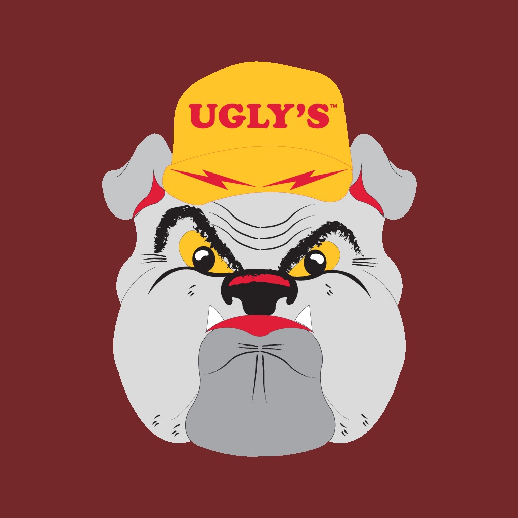 Ugly's Electrical References app icon