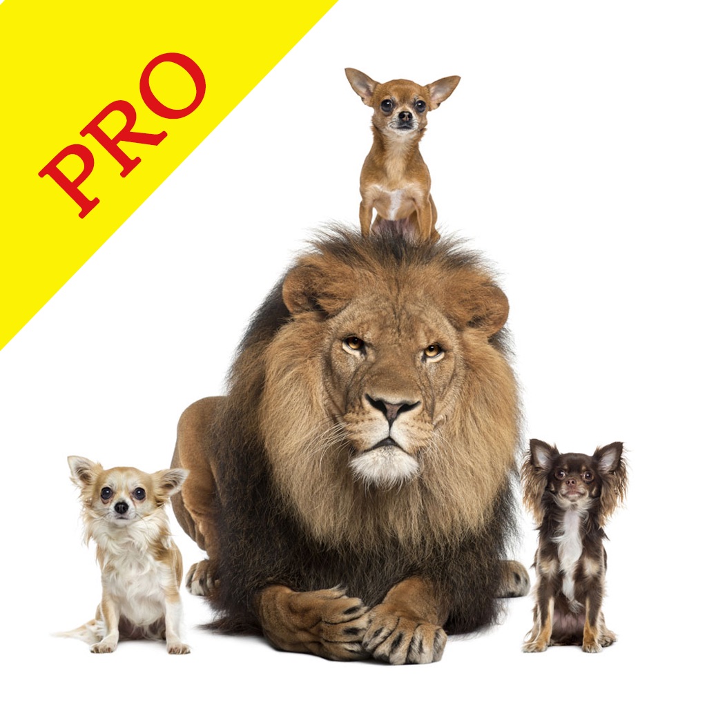 Animal Sounds Pro & Bird Noise app icon