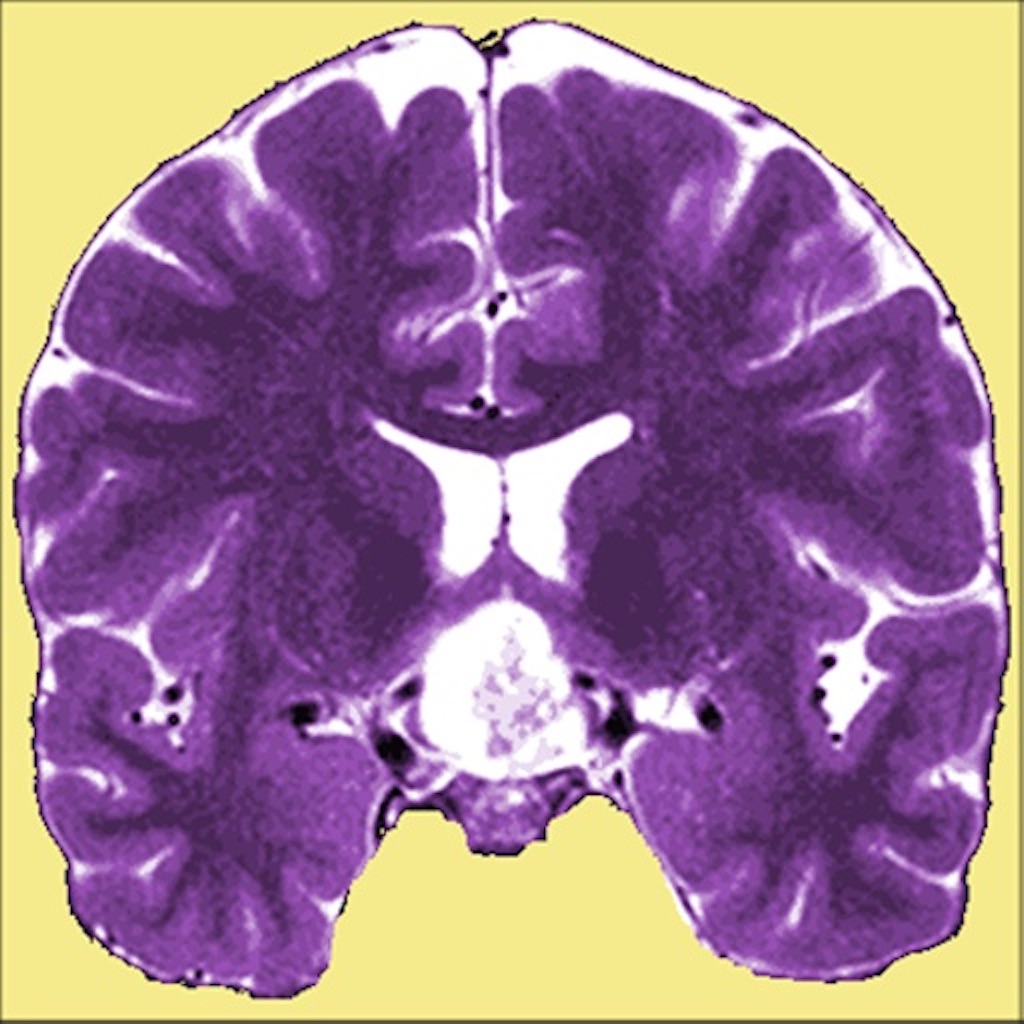 Neuro Toolkit app icon