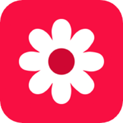 Gallery Google Play icon captured 2026-08-12