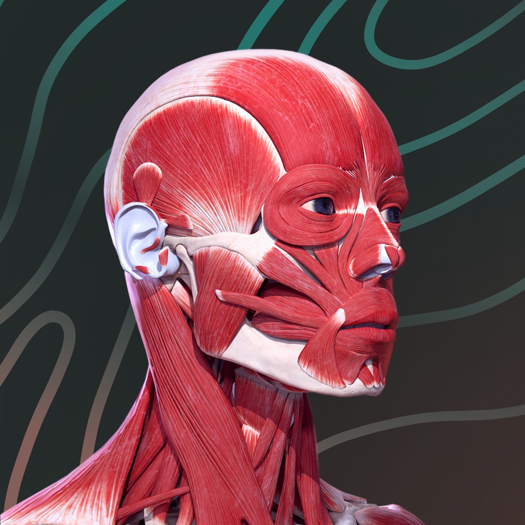 Easy Anatomy 3D with Voice AI app icon