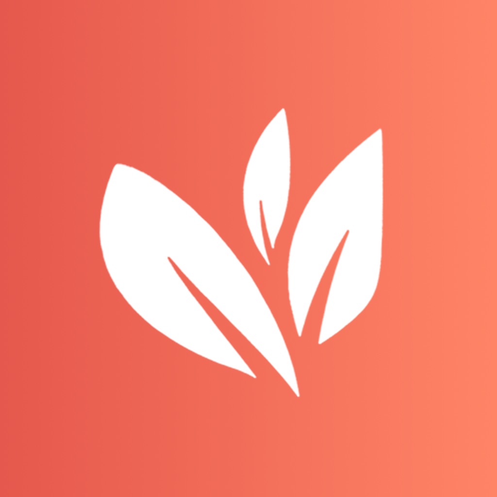 Allspice - Recipe Meal Planner app icon captured 2026-08-14