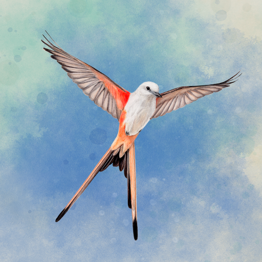 Wingspan: The Board Game Google Play icon captured 2026-08-12