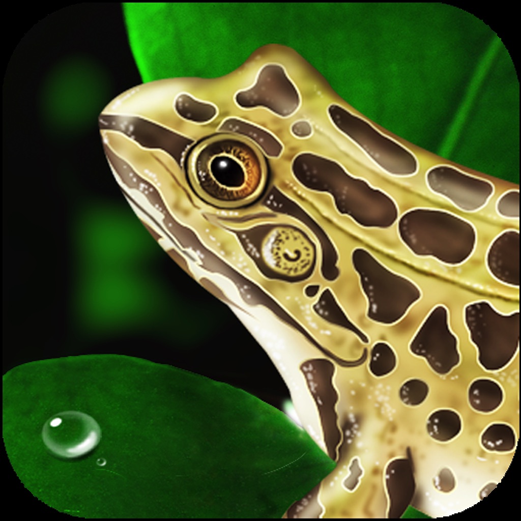Frog Dissection app icon captured 2026-08-14