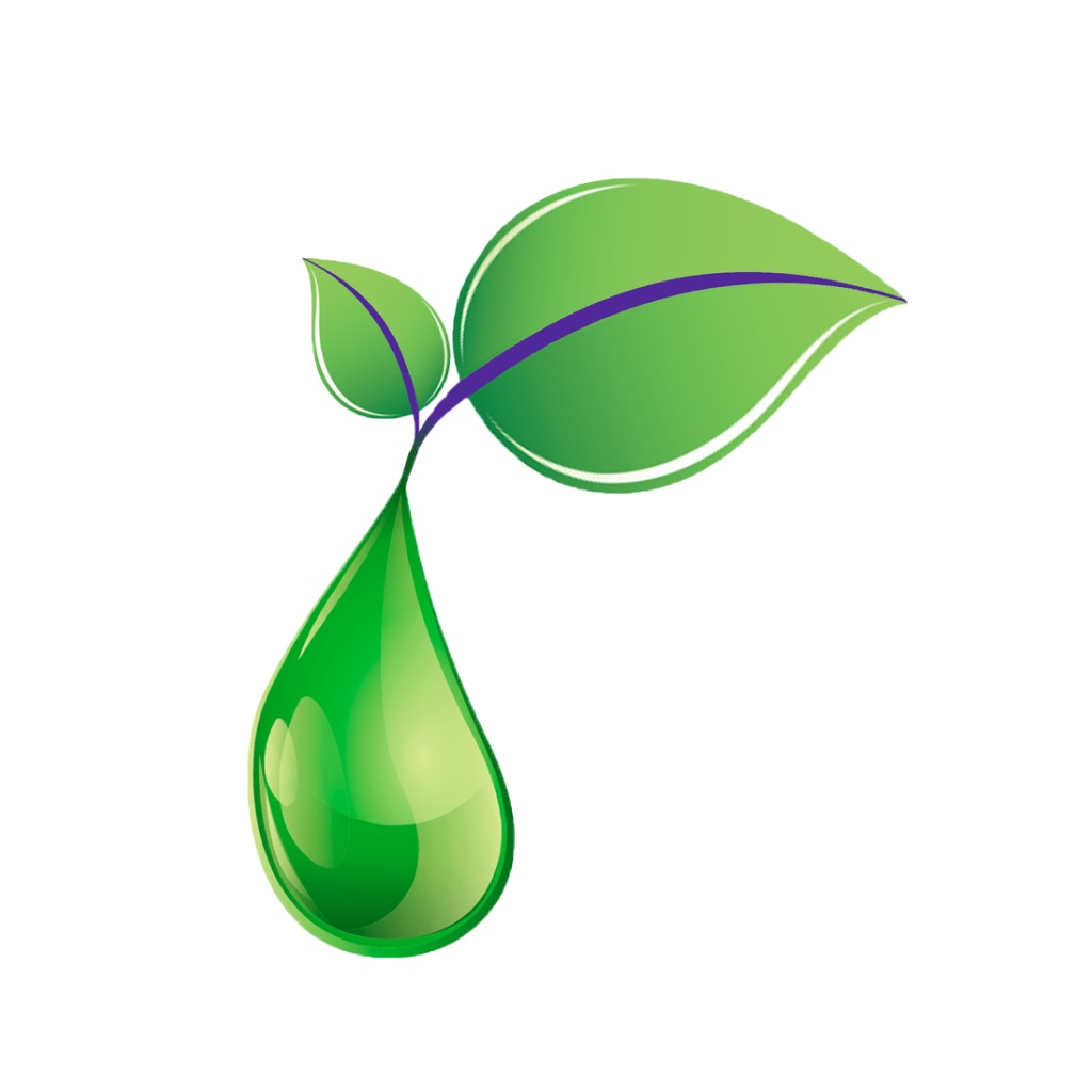EoEbooks app icon