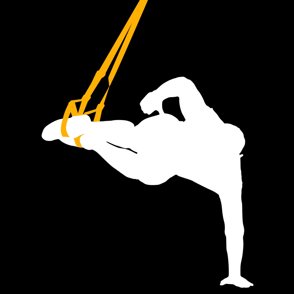 Stark Suspension app icon