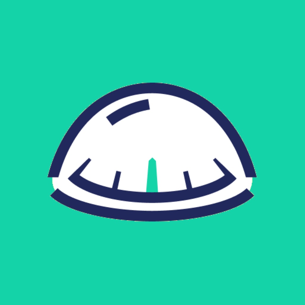Savvy Navvy: Boat Navigation app icon