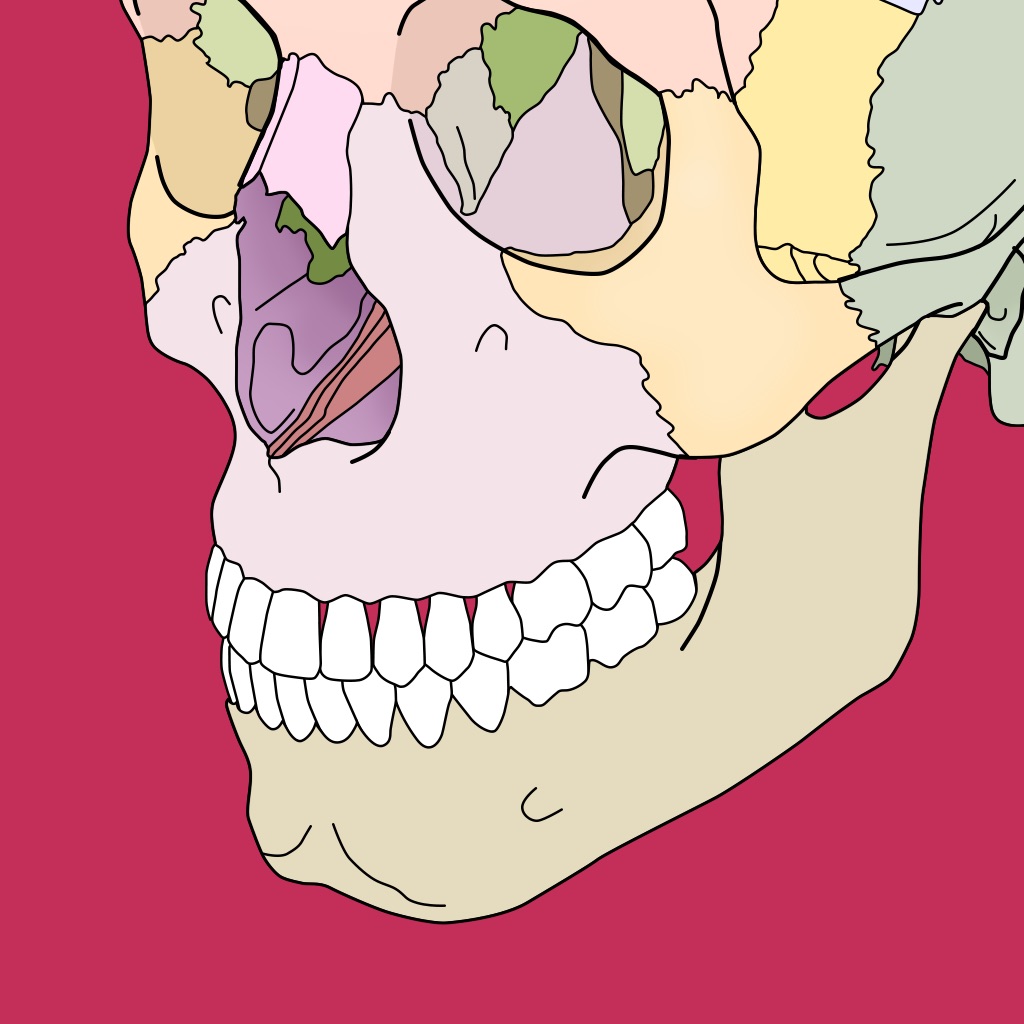 Body coloring book app icon