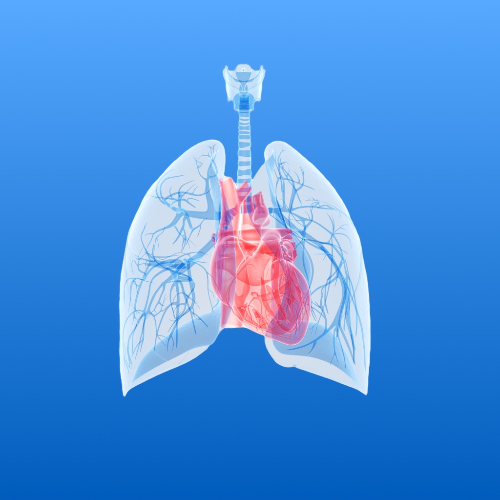 Lung Heart Sounds app icon