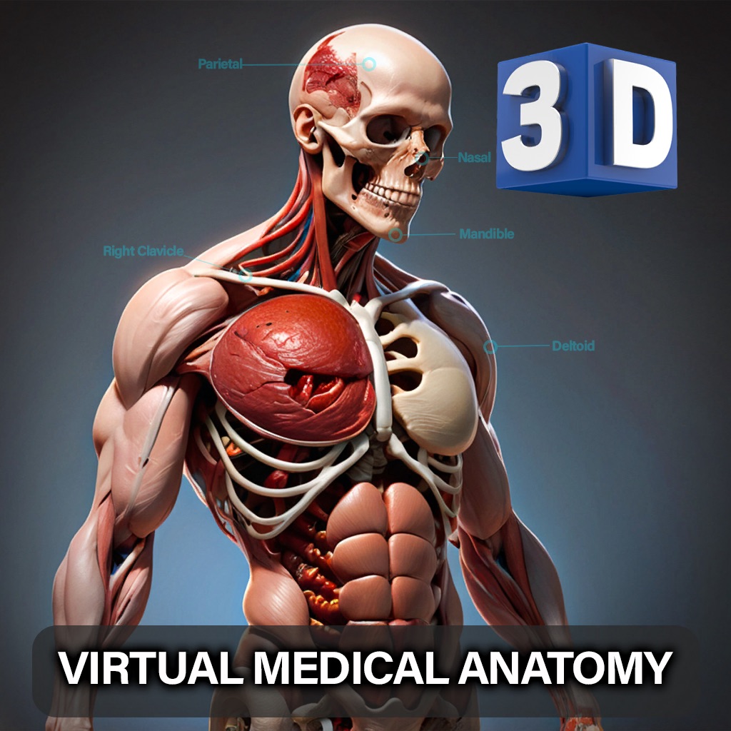 Virtual Medical Anatomy app icon