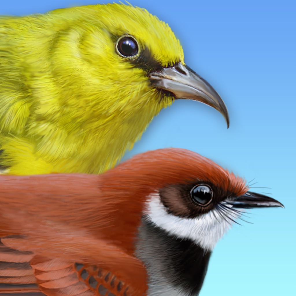 iBird Hawaii & Palau Guide app icon