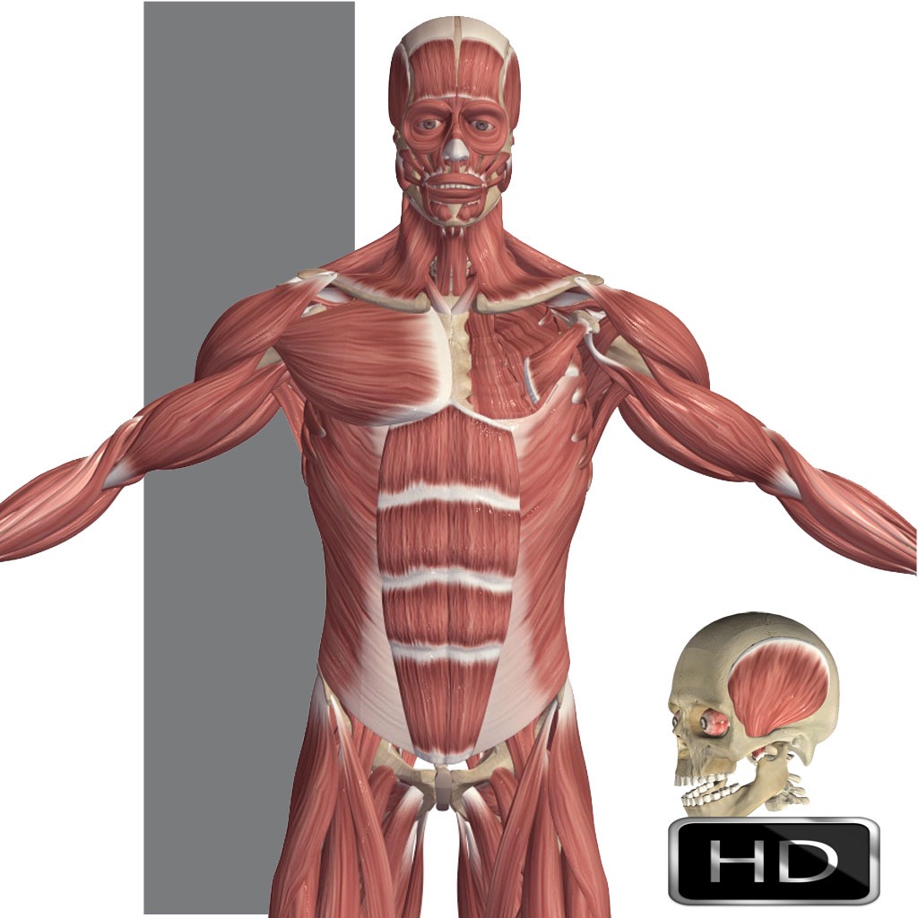 Visual Anatomy app icon