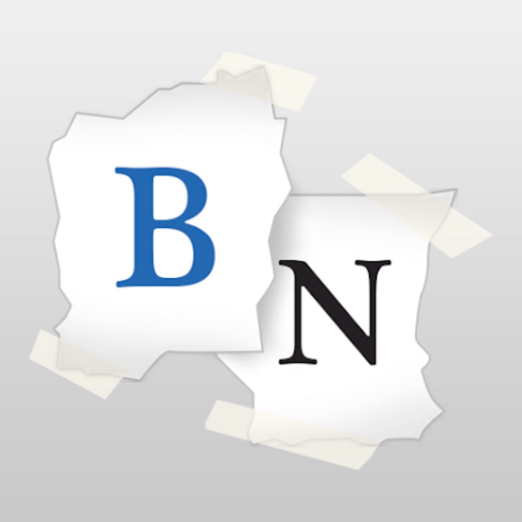 Bidnapper Auction Sniper app icon captured 2026-08-14