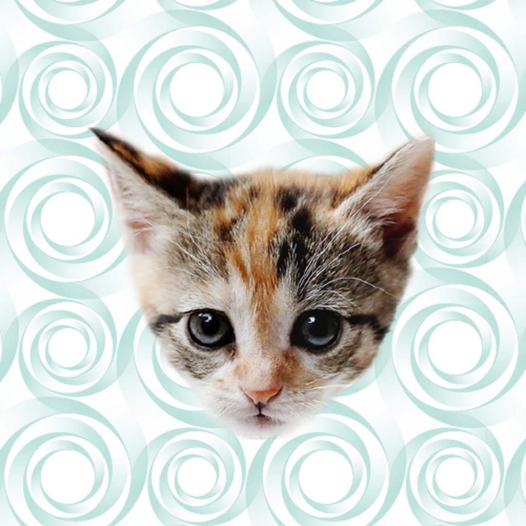 Cute Kitten - Stickers app icon captured 2026-08-14