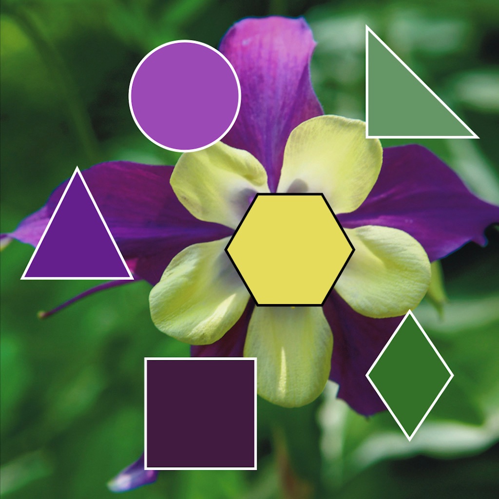 ColorHints Mosaic app icon
