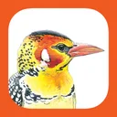 eGuide to Birds of East Africa app icon