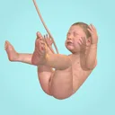 Idle 9 Months app icon