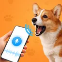 Tradutor De Cachorro Divertido app icon