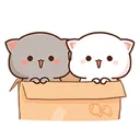 Kitty Life Sticker app icon