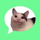 Message stickers : animal meme app icon