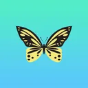 Butterfly Sticker Pack app icon