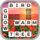 Word Wiz - Connect Words Game app icon