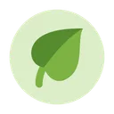 Notícias Guarapuava app icon