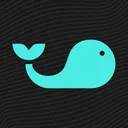 Splash Sports | Survivor & DFS app icon