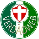 VerdãoWeb - Notícias do Palmei app icon