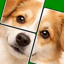 Jigmagic - Quebra-cabeças app icon