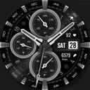 WFP 308 Business watch face app icon
