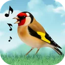 Birds Sounds app icon