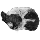 Notable Utility app icon