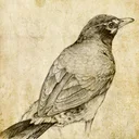Sketch Master - Cartoon Filter app icon