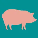 Pig Weight Estimator app icon