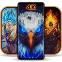 Wallpapers HD - Backgrounds 4K app icon