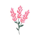 Fleur - Budget Planner App app icon